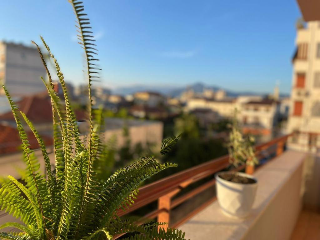 שקודר Premium Apartments מראה חיצוני תמונה